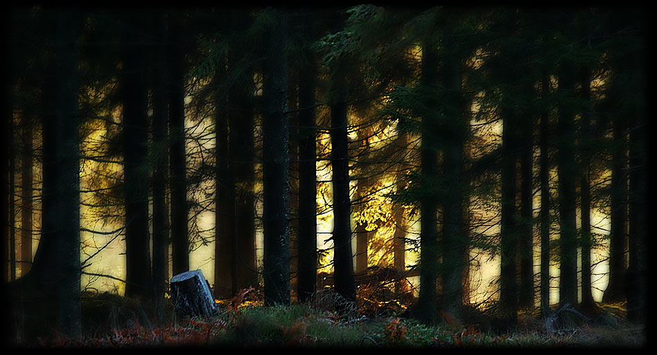 Naturromantik