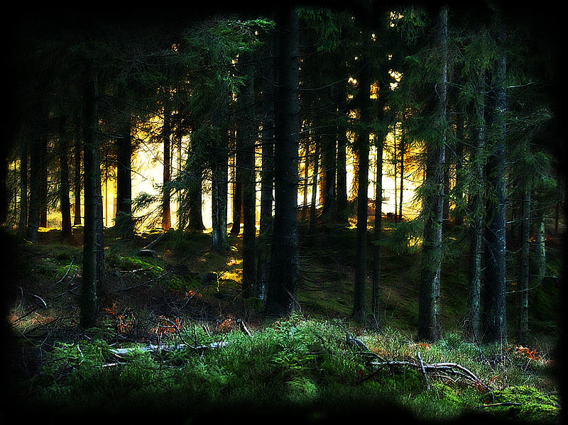Naturromantik