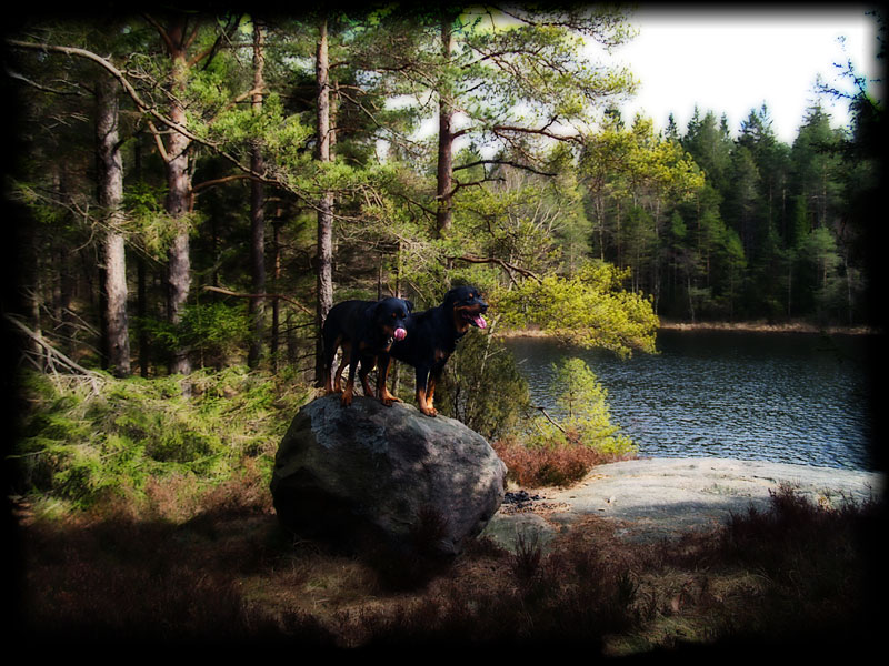 Naturromantik