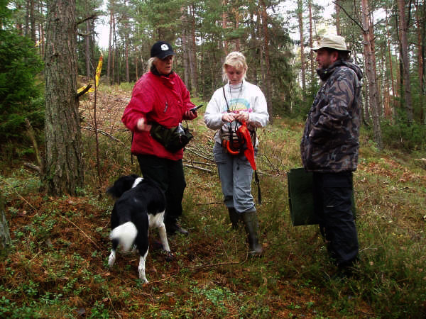 Proffstiggare Sam.