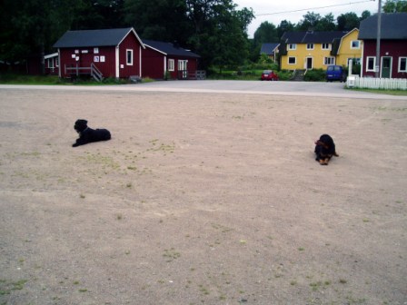 Hälge och Disa, ingen breakdance här för tillfället.