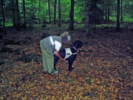 Maud och Riesenschnauzern Hälge